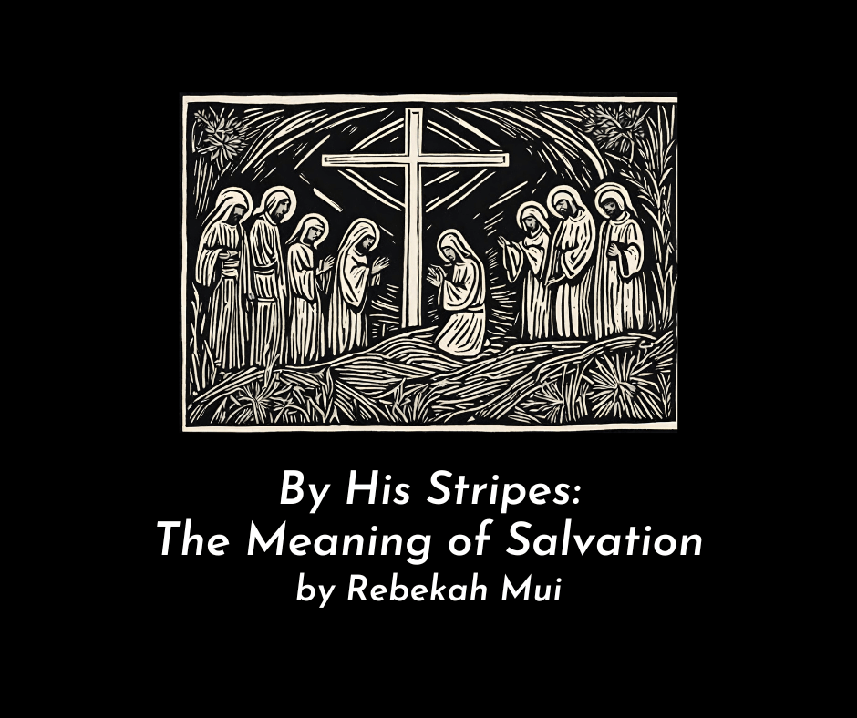 By His Stripes: The Meaning of Salvation